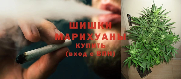 Альфа ПВП Арсеньев