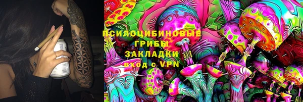 винт Аркадак