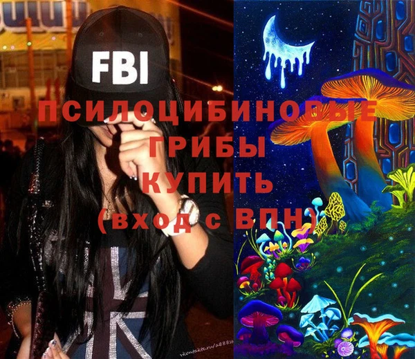 винт Аркадак