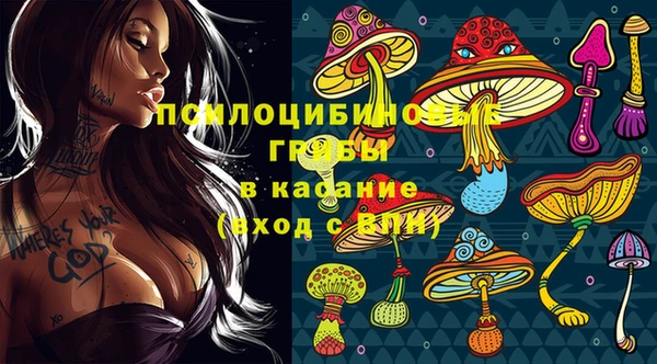 гашик Армянск