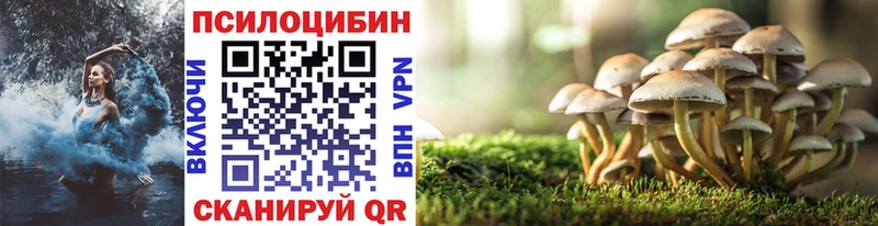 Псилоцибиновые грибы прущие грибы Бавлы